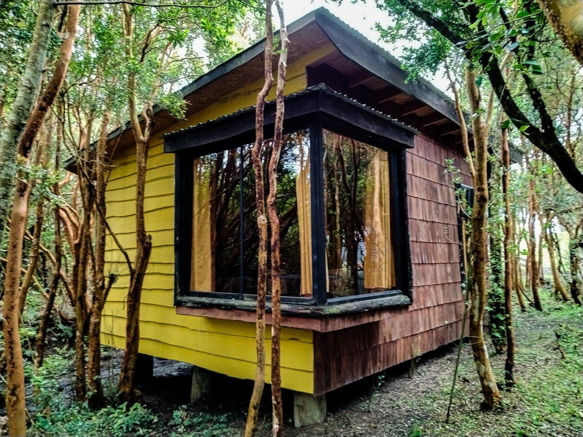 Hostal & Cabanas Luna Del Sur Cucao Екстер'єр фото
